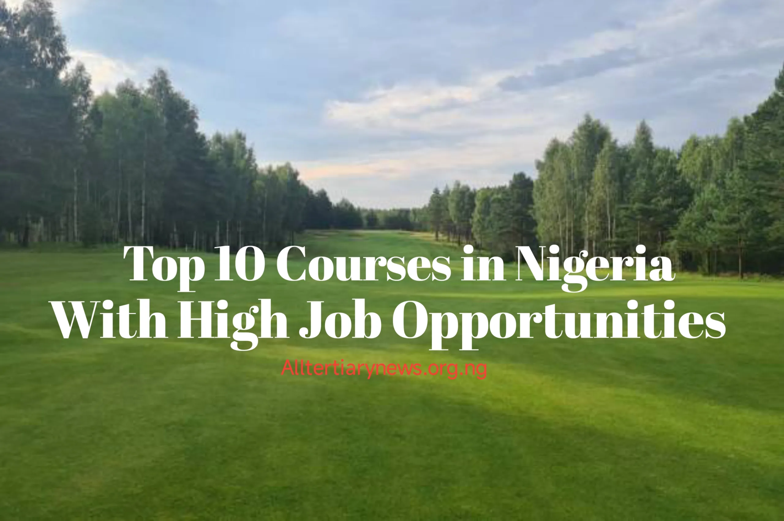 Courses Image || Top 10 Courses in Nigeria with High Opportunities